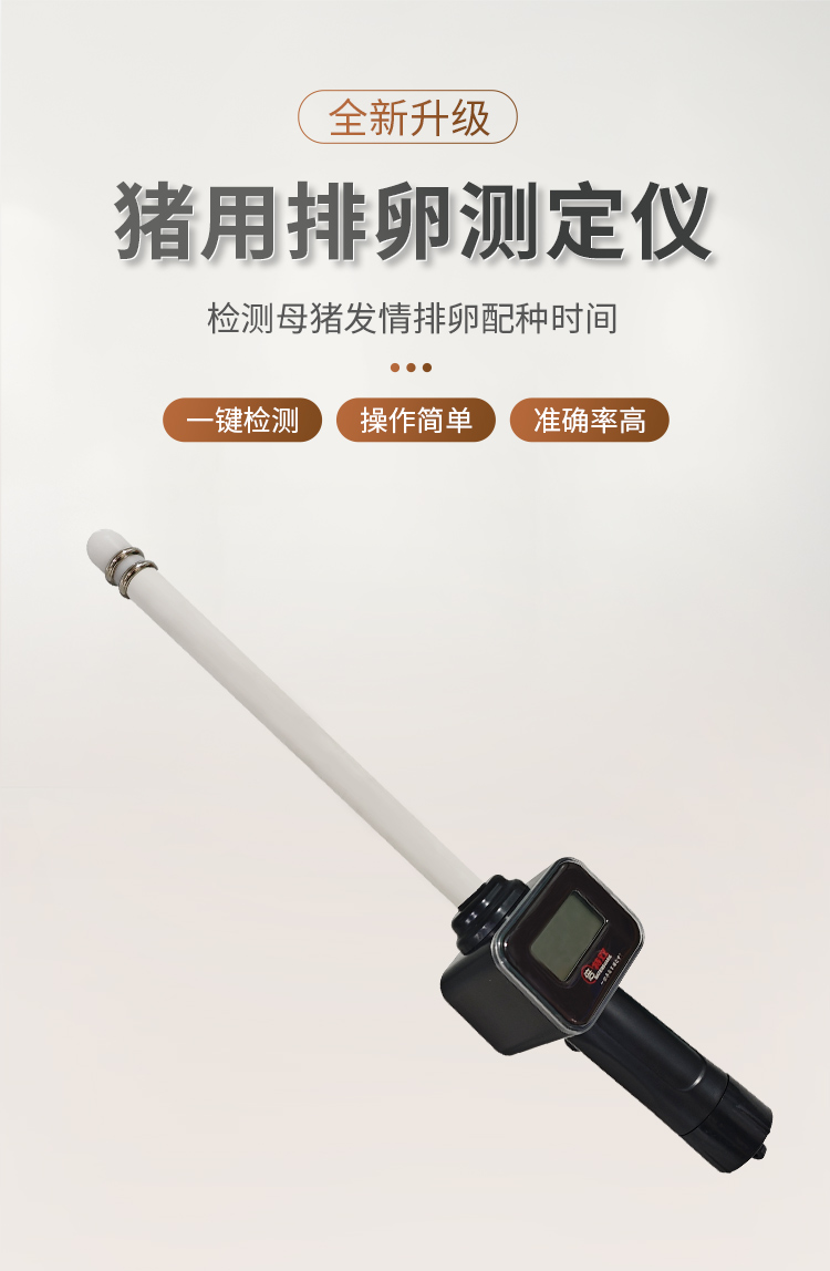 新款豬排詳情_01