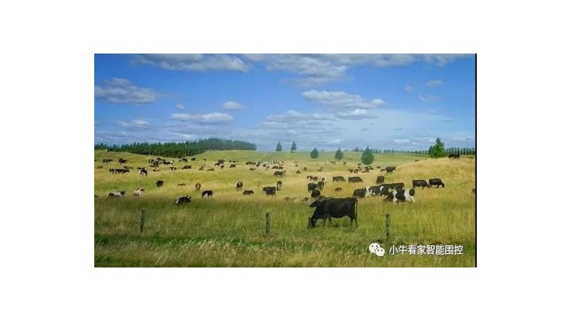 小牛看家電子圍欄輪區放牧怎么做到方便安全？